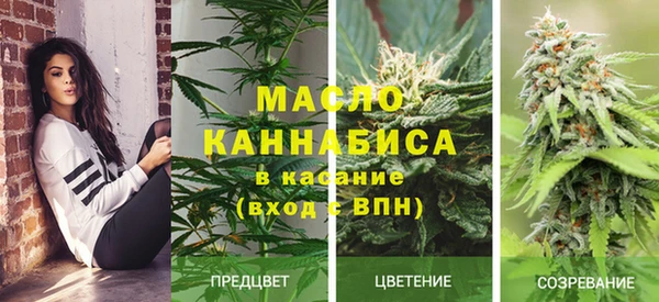 ECSTASY Бугульма