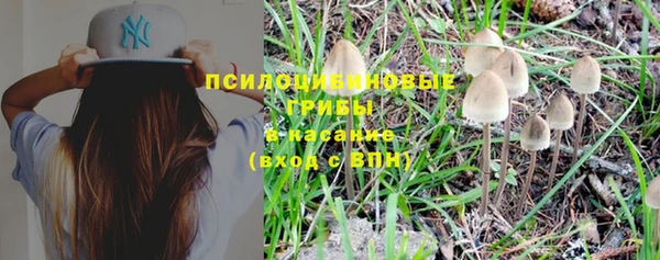 мдпв Бронницы