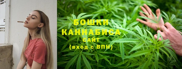 прущая мука Бородино