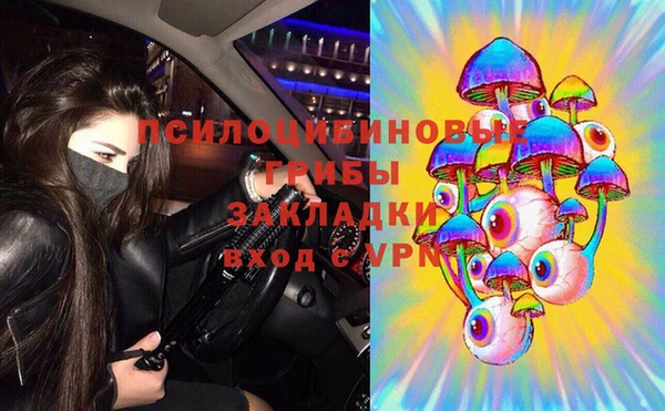 мдпв Бронницы