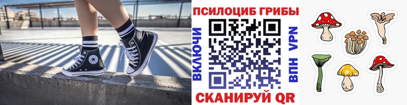Псилоцибиновые грибы Psilocybine cubensis  Будённовск 